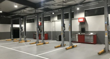 Gall Hoist4