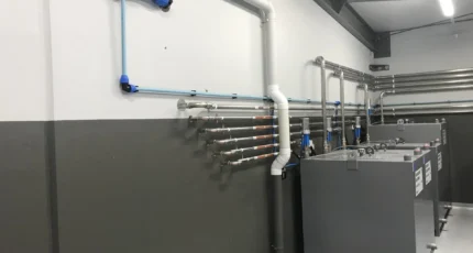 Gall Piping4